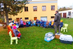 Projektový den- Jak se chystají zvířátka na zimu