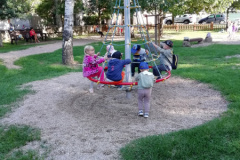 webIMG_20260908_092246